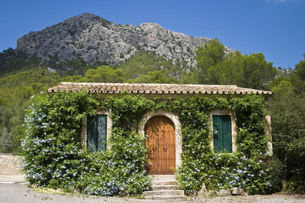 Ngôi nhà phủ đầy cây và hoa ở Mallorca, Tây Ban Nha.
