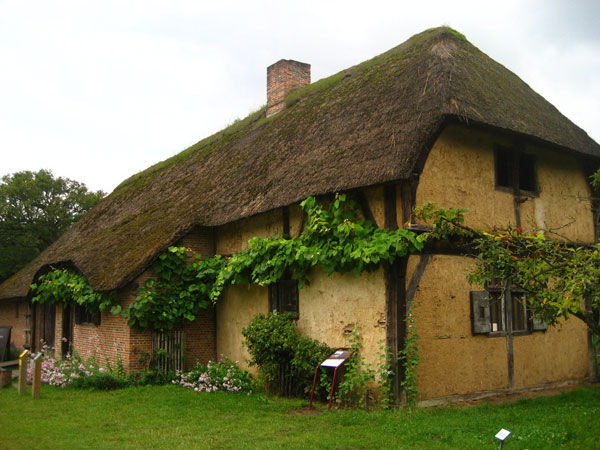 Ngôi nhà giữa thảm có xanh mát rượi tại Bỉ