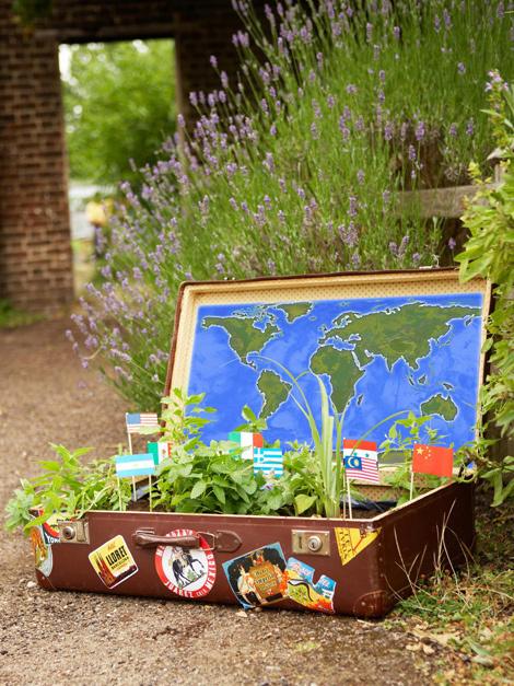Chiếc vali cũ cũng có thể biến thành một khu vườn mini