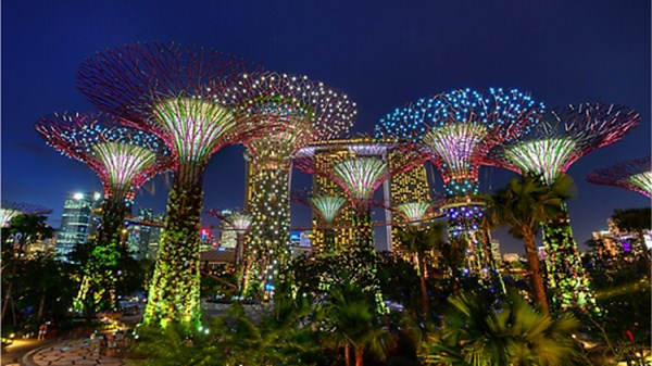 Khu vườn "Gardens by the Bay" 