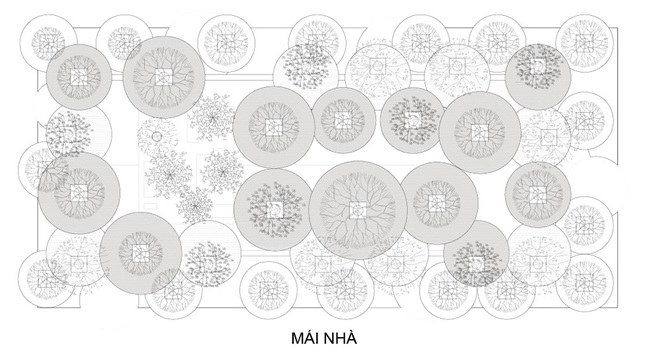 Bản thiết kế phần mái của ngôi nhà tre.