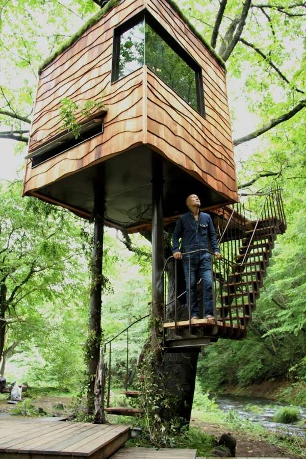 Ngôi nhà thiết kế trên cây giữa không gian núi rừng 