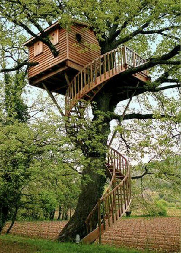 Lối lên ngôi nhà trên cây 