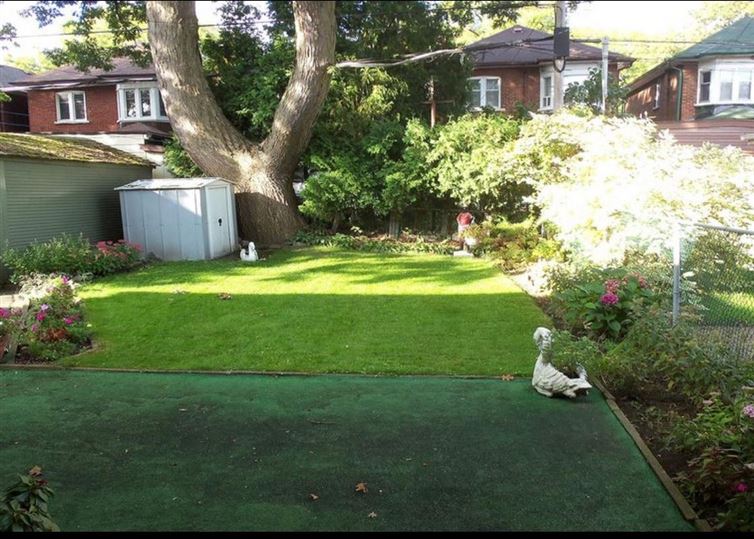 Căn nhà còn có một không gian sân cỏ xanh mát 