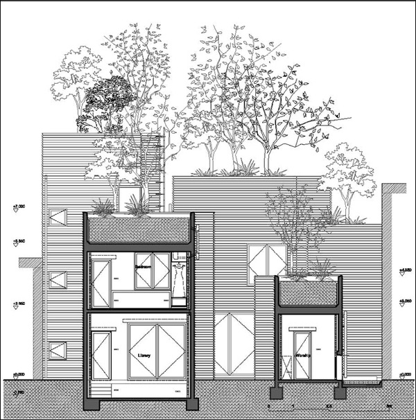 Bản thiết kế mặt cắt của ngôi nhà mọc cây.