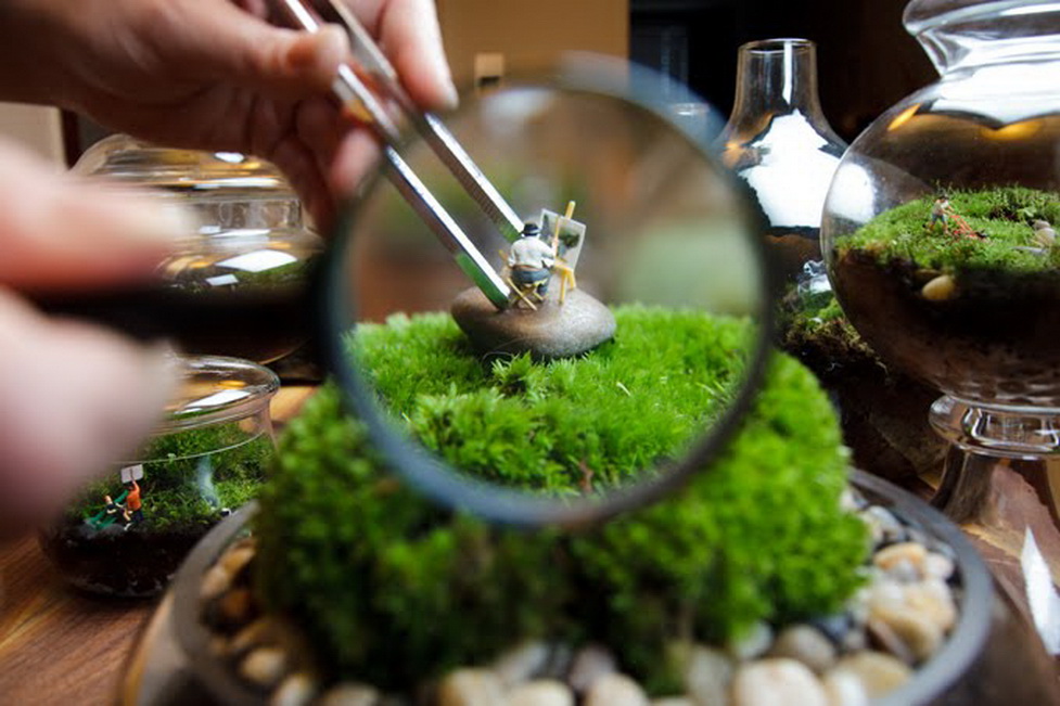 Terrarium  ​