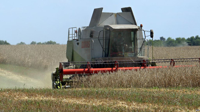 đất nông nghiệp Ukraine 