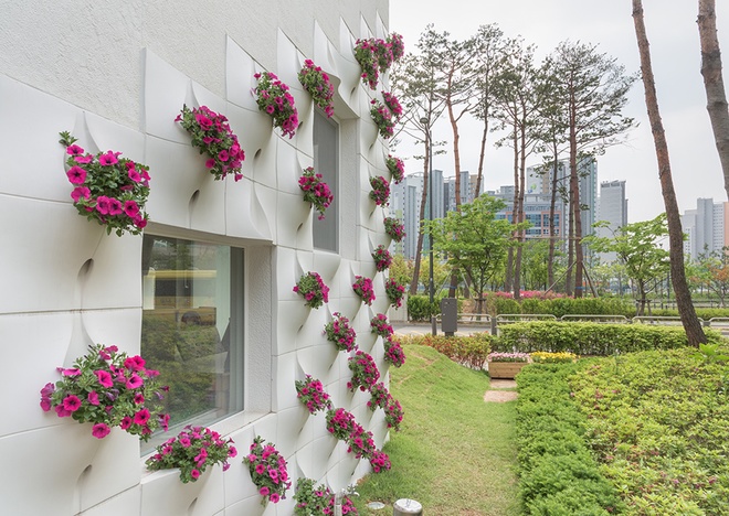 KTS Jungmin Nam và các đồng nghiệp ở Seoul (Hàn Quốc) đã nghĩ tới ý tưởng làm ra  ​bức tường trồng hoa khi thiết kế một ngôi nhà không có ban công, bệ cửa sổ