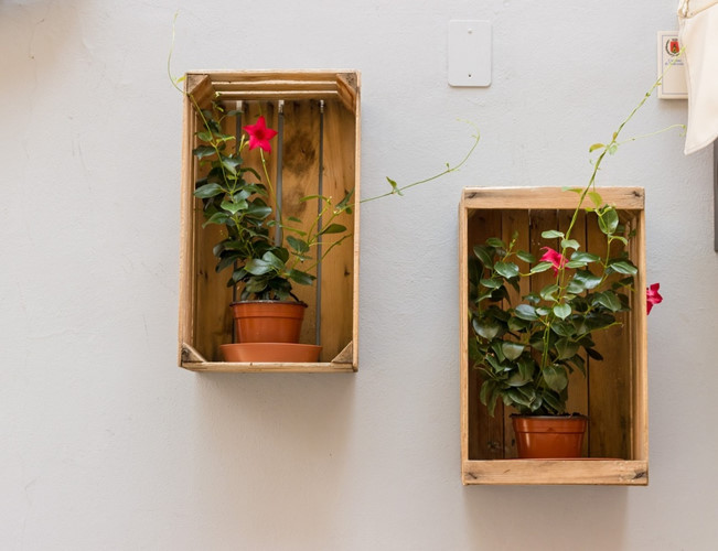 Những hộp gỗ treo trên tường và đặt bình hoa vào đó không gian nhà bạn  sẽ trở nên nổi bật nhờ những bức tranh nổi sộng động này