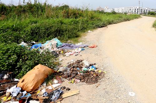 Hệ thống đường kết nối khu biệt thự với các trục đường lớn cũng chưa được hoàn thiện