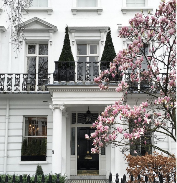 Những bông hồng bung nở rực rỡ trước cửa nhà như những điểm nhấn  ​ấn tượng cho căn nhà màu trắng