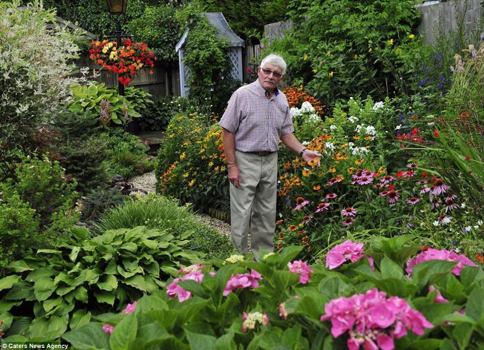 Ông Stuart chia sẻ công việc chăm sóc vườn vừa là niềm vui và niềm tựa hào của ông