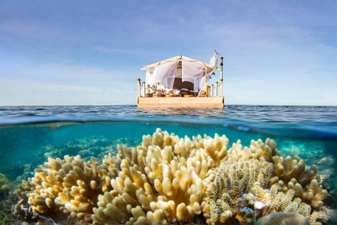 Căn nhà nằm ngoài khơi Queensland (Australia) nằm ngay trên rặng san hô thuộc  ​khu bảo tồn Great Barrier Reef được công nhận là Di sản thiên nhiên thế giới