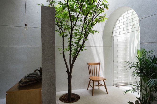 Cây xanh tạo sự cân bằng cho không gian và nội thất trong nhà