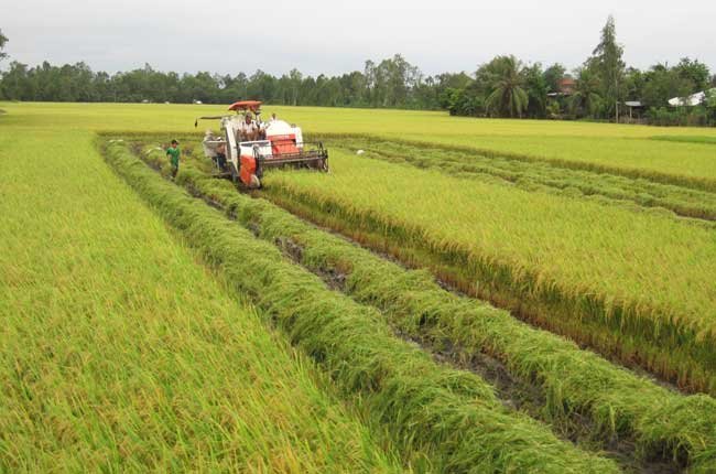 miễn thuế sử dụng đất nông nghiệp