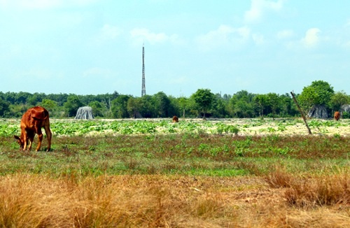 khởi công dự án Công viên Safari 