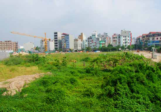 Hà Nội: Sẽ kiến nghị thu hồi hơn 100 nghìn m2 đất vi phạm