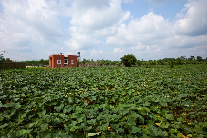 nhà đẹp giữa vùng quê