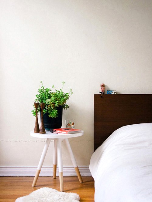 Không nên bài trí cây xanh trong phòng ngủ