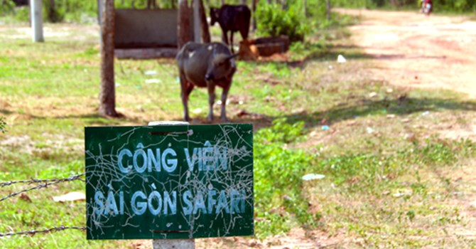 Nguyên nhân dự án Công viên Sài Gòn Safari chậm tiến độ