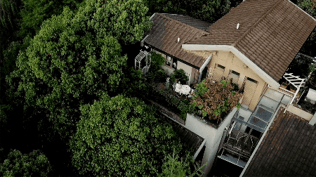 Ảnh động toàn cảnh ngôi nhà nhìn từ trên cao với rất nhiều cây xanh bao quanh