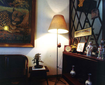 Những kỷ vật nhuốm màu thời gian trong phòng khách nhỏ Không gian làm việc của một kiến trúc sư mê âm nhạc 
