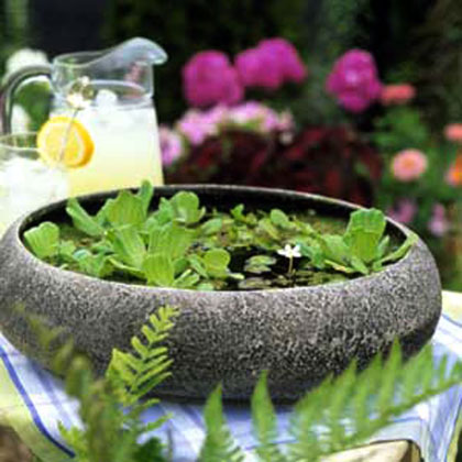 Những chậu gốm đơn giản cũng làm cho khu vườn của bạn trở nên đẹp hơn