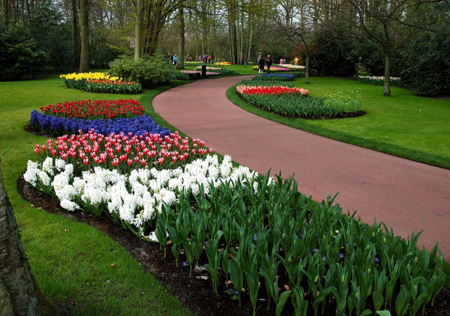 Vườn hoa Keukenhof thu hút mỗi năm hơn 700.000 du khách từ khắp nơi trên thế giới.