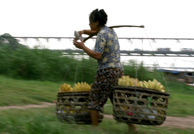Từ chợ chuối này, những người bán hàng lại đi rao bán khắp Hà Nội.
