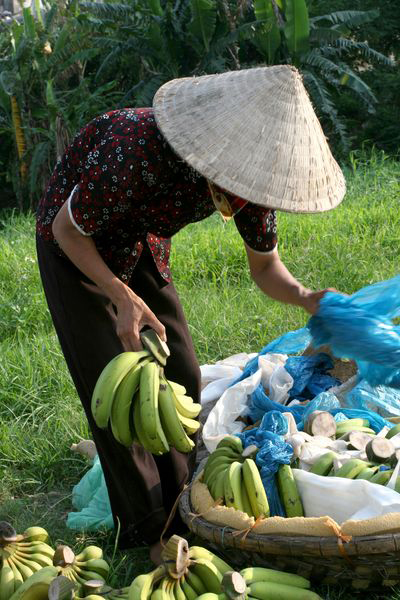 Những buồng chuối được chia thành từng nải nhỏ.