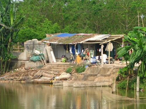 cưỡng chế đất Tiên Lãng