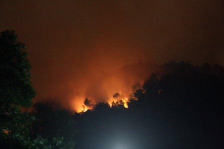 cháy rừng Đà Nẵng