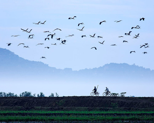 ảnh đẹp Việt Nam