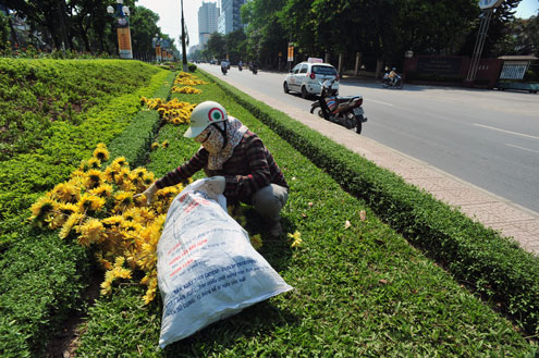 nắng nóng Hà Nội