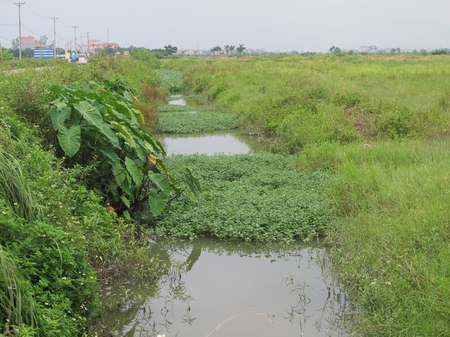 khu đô thị Mê Linh bỏ hoang