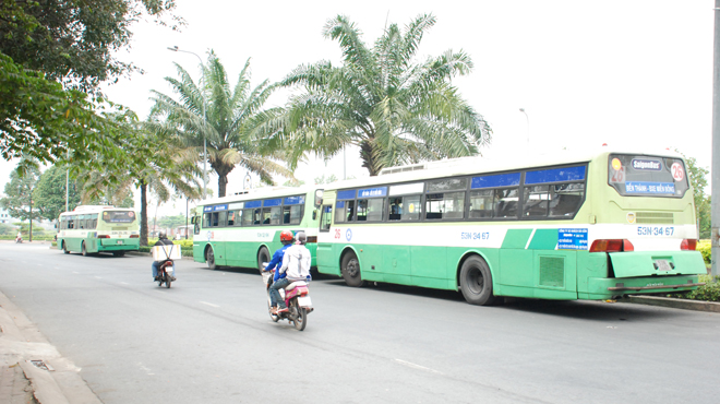 xe buýt đậu tràn lan