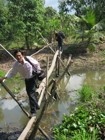 cầu tre Nam Bộ