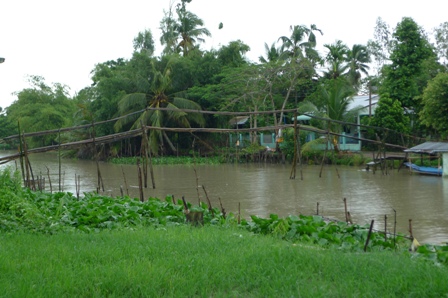 cầu tre Nam Bộ