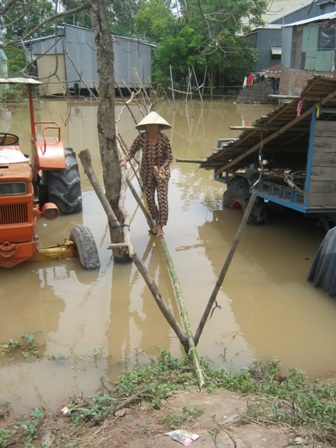 cầu tre Nam Bộ