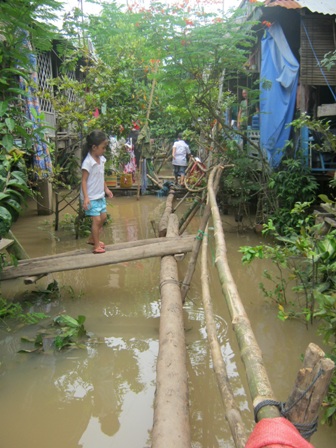 cầu tre Nam Bộ