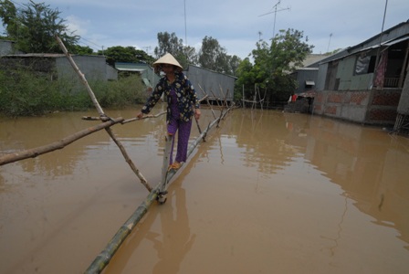 cầu tre Nam Bộ