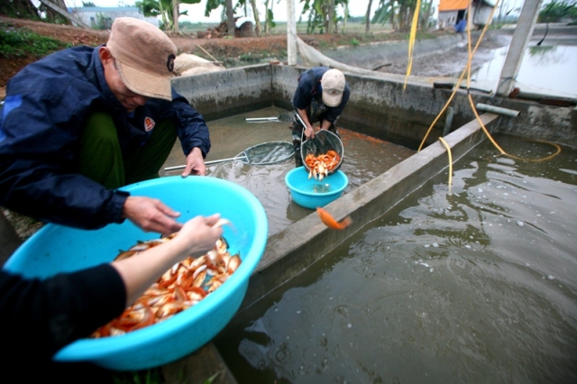 Tết Táo quân