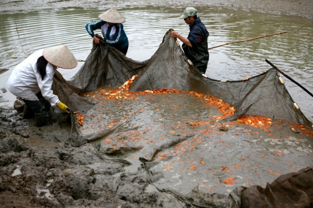 Tết Táo quân