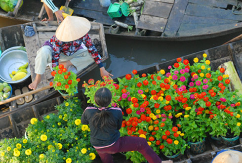 chợ hoa trên sông