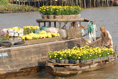 chợ hoa trên sông