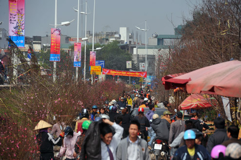 chợ hoa Tết