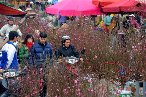 chợ hoa Tết