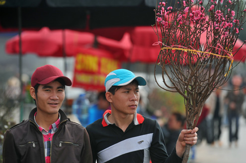 chợ hoa Tết