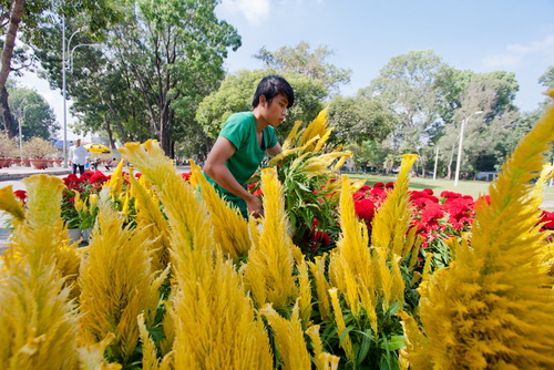 chợ Tết Sài Gòn