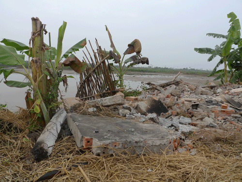 cưỡng chế đất Tiên Lãng